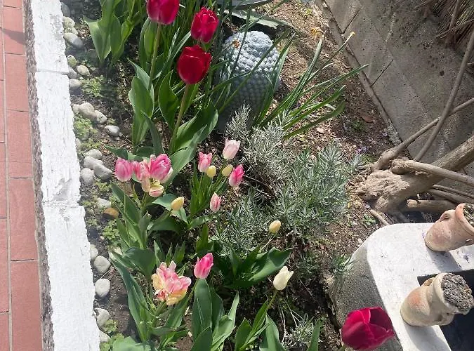 Happy Days Breakfast Sirmione