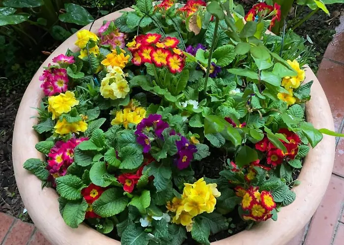 Happy Days Breakfast