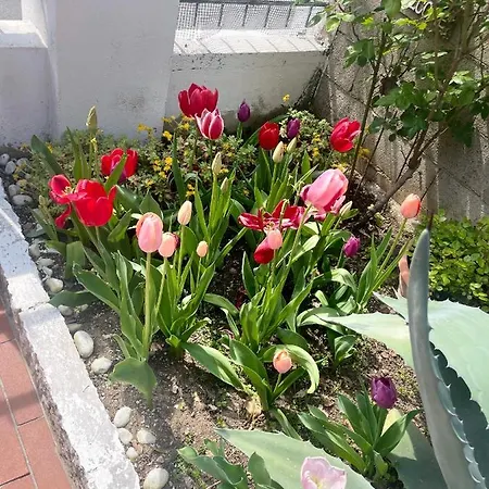 公寓 快乐日子住宿加早餐旅馆