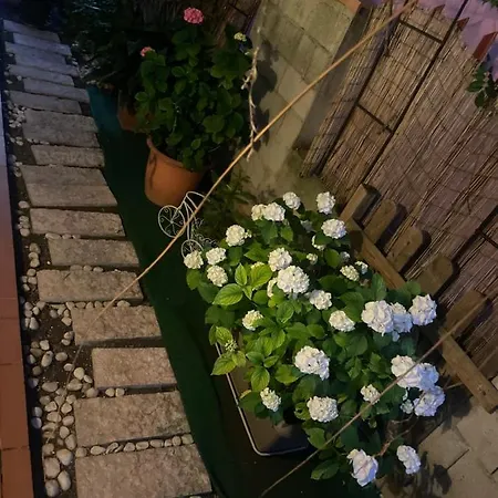 公寓 快乐日子住宿加早餐旅馆 西尔米奥奈