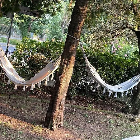 快乐日子住宿加早餐旅馆 *